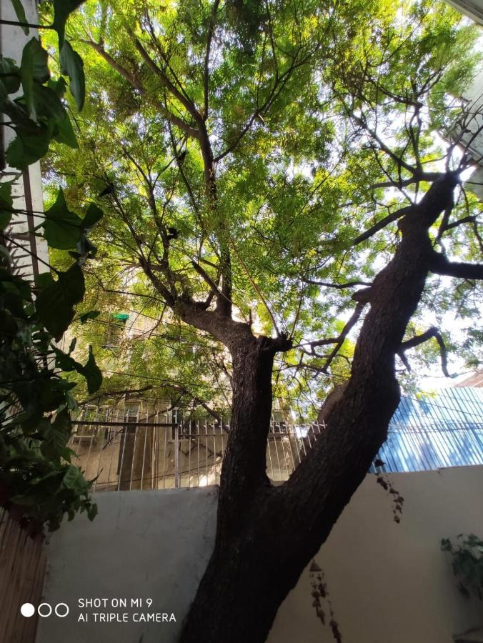 The Neem Bed & Breakfast New Delhi Exterior foto