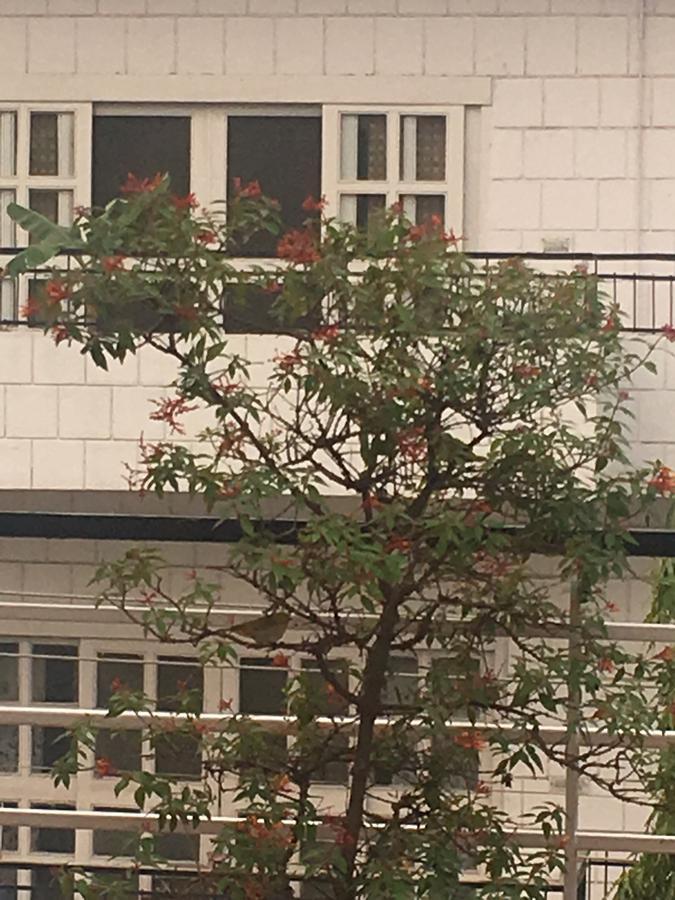 The Neem Bed & Breakfast New Delhi Exterior foto